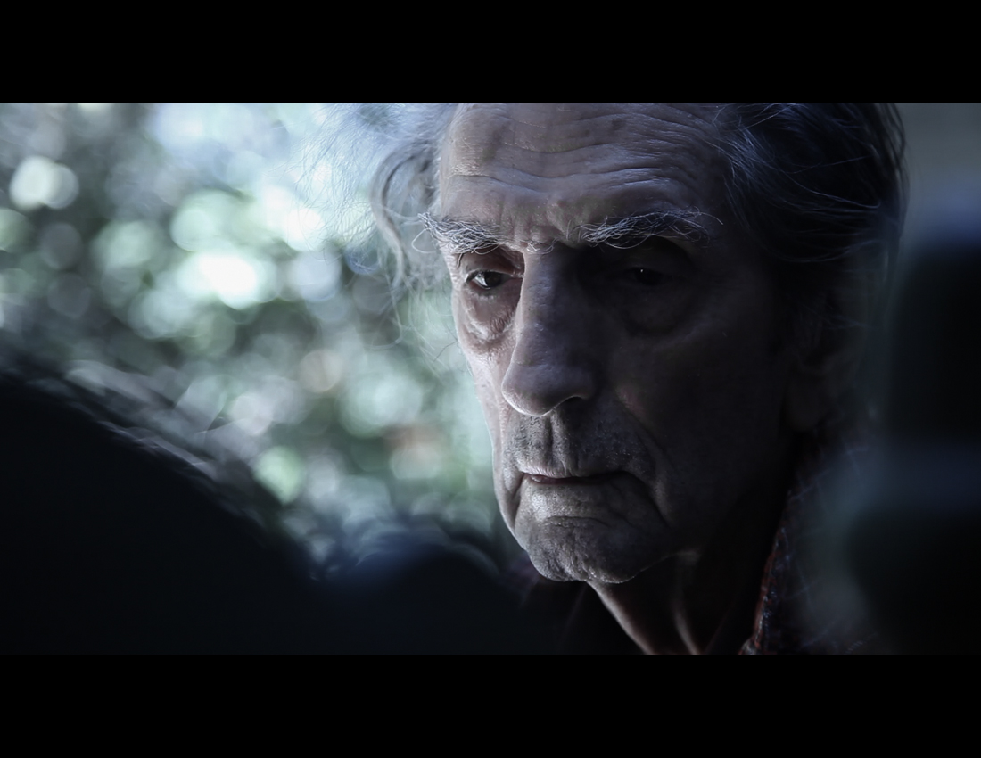 Harry Dean Stanton